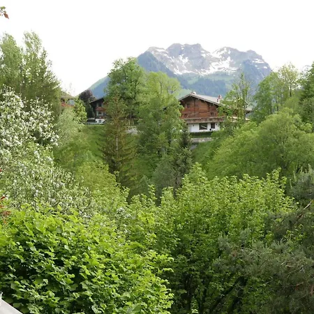 Διαμέρισμα Tree-tops- Appartement-fewo- Dusche Und Bad- Wc 9-bettwohnung By Interhome Γκστάαντ